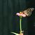 Cathy Ray Grafton's profile image