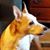 Lynn Witherspoon LaGrone's profile image