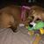 Dawn Marie Stevens's profile image