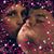 Nicki Neumann Baker's profile image