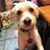 Wendy Barton's profile image