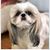 Beth Locke's profile image