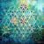 Nicole Des Jarlais's profile image