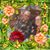 Frank Hardenburgh's profile image