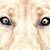 Troy Davis's profile image