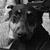 Rhonda Andrews's profile image