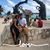 Damaris Vazquez's profile image