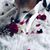 Marinitza Roman's profile image