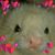 Patricia Tanzun's profile image