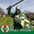 Kevin Dahill's profile image