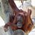 Cathy Weeks Calabrese's profile image