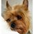 Cathy M Lewis's profile image