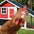 Gary Lively's profile image
