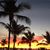 MacKenzie Ross-Fidler's profile image