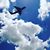 Jessica Urdiales's profile image