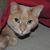 Carolyn Bunkley's profile image