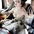 Jenny Skowron's profile image