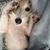 Jenni Brodie's profile image