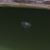 Tavares D. Sanches's profile image