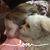 Bentley Bland Shuller's profile image