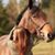 Rachel Ciula's profile image