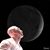 Bryon Kubiszewski's profile image
