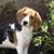 Janice Terhune Krehbiel's profile image
