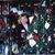 Carolyn T Holsworth's profile image