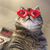 Celia Hanami's profile image
