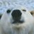 Judy Leckie's profile image