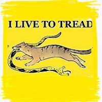 Ursula McElrea's profile image
