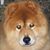 Mike Carter's profile image