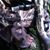 Kelsey Kingsolver's profile image