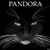 Shawna R Blaker's profile image