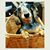 Kristi Gorges's profile image