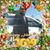 Julio Cesar Daly Valladares's profile image