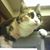 Rhonda Horton's profile image