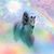 Connie Cameron's profile image