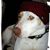 Pamela LeRoy Sicko-Monroe's profile image