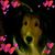 Carol Keanini-Service's profile image