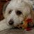 Nicolette Clowers Elizondo's profile image