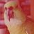 Catherine A Martin's profile image