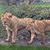 Jason Goodall's profile image