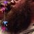 Phill Baker's profile image