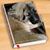 Wrenzola Waites's profile image