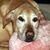 Gary Keck's profile image