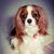 Maggie Merry's profile image