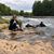 Melanie Evans's profile image