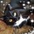 Annette Czub's profile image