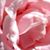 Nancy Sepulveda's profile image